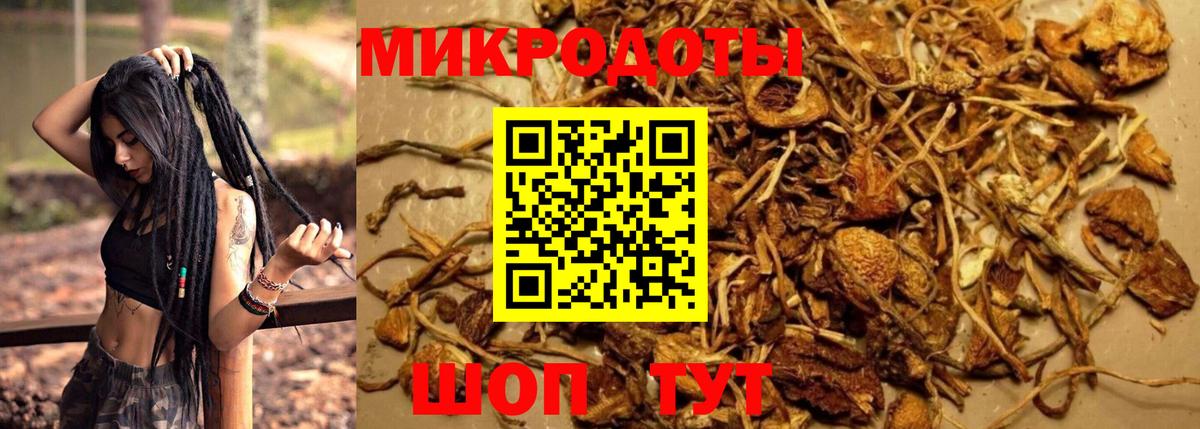 Псилоцибиновые грибы Cubensis  Вход с VPN  Маркс 