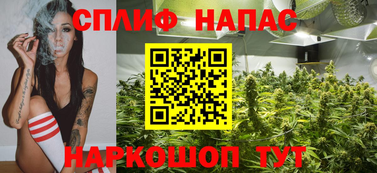 Конопля ГИДРОПОН Маркс